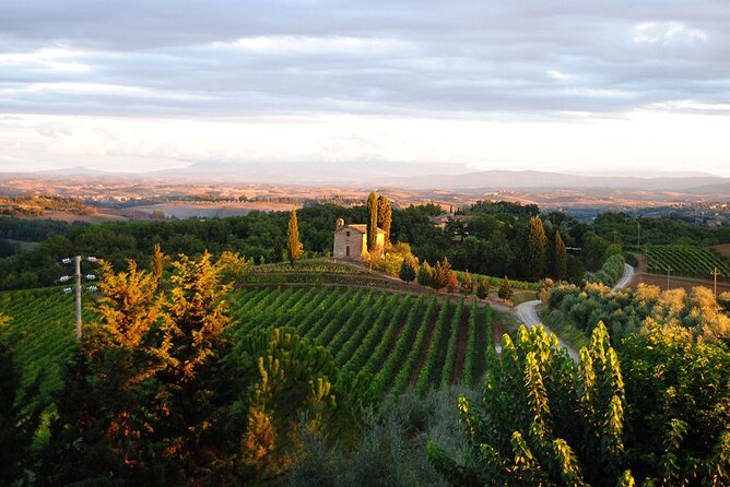 "CLASSIC" Wine Tasting and Typical Tuscan Products - A Mulberry-Tree Terrace Above Crete Senesi and Chianti