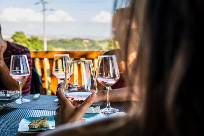 "CLASSIC" Wine Tasting and Typical Tuscan Products - What You Taste: White, Red, or Rosé with a Vineyard Logic