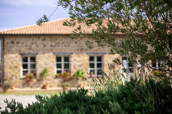 Classic Wine Tasting in Montalcino - Why This 45-Minute Tasting Works in Montalcino