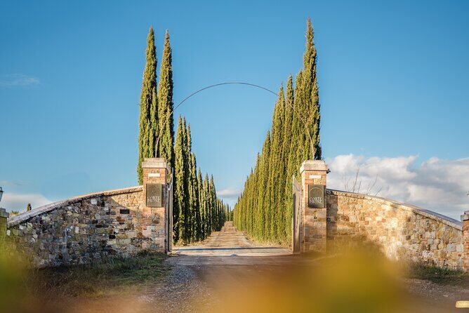 Classic Wine Tasting in Montalcino - How to Make It Smooth: Timing, Comfort, and What to Do at the Table