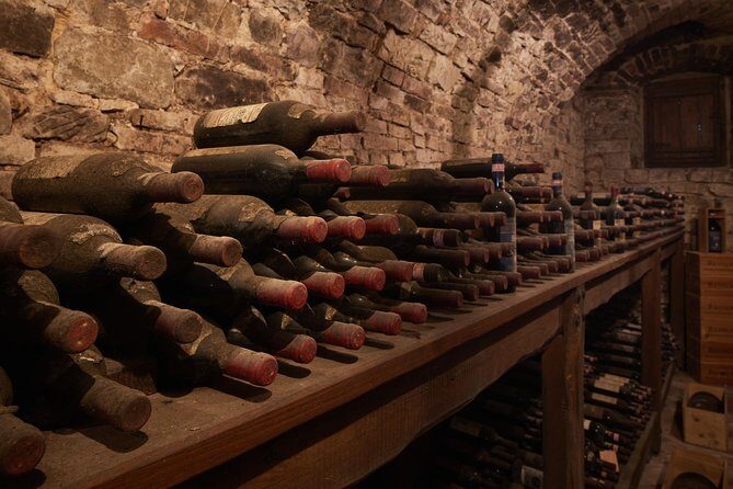 Complete tasting of Castello di Bossi - Pairing Like a Pro: Bruschettas, Cold Cuts, and Cheeses