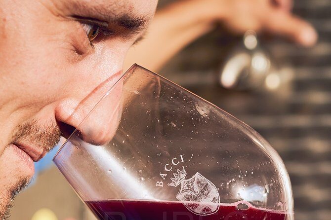 Complete tasting of Castello di Bossi - Private and English-Friendly: How Matteo Keeps the Experience Moving