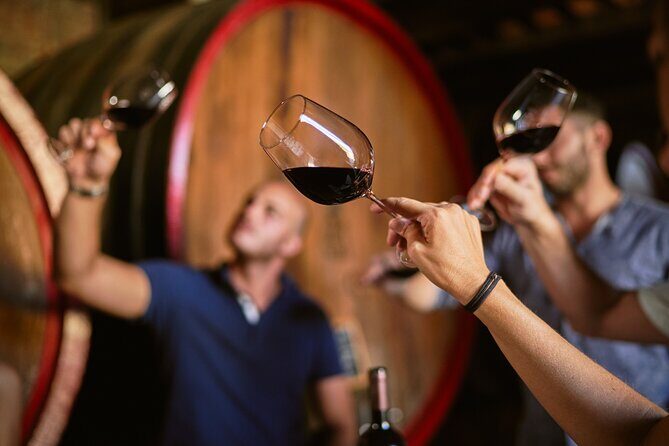 Complete tasting of Castello di Bossi - The 1.5-Hour Tasting: Five Bottles and a Simple Menu