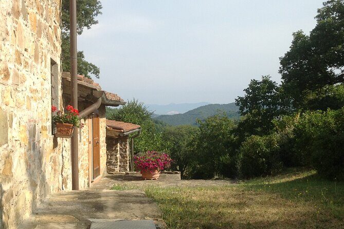 Cooking Class for Pasta Lovers in Florence Country House - Sauce Choices That Actually Change the Whole Dish