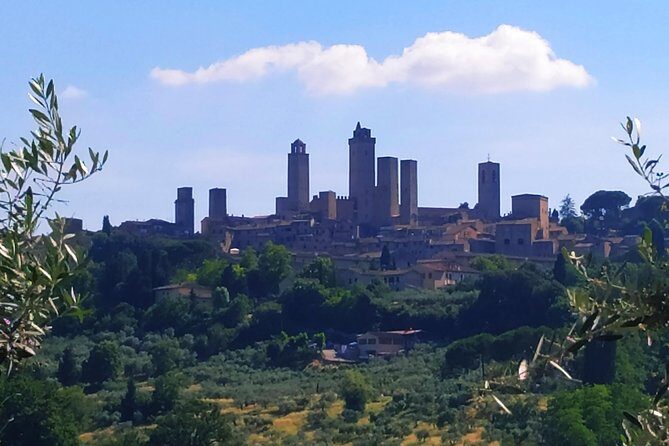 Cooking Class in a Real Tuscan Farmhouse - The tastings: olive oil, Chianti Classico, and local sharing