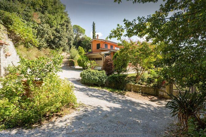 Cooking class in Tuscan Villa near Cortona - Wine and olive oil: tastings you’ll actually want to remember