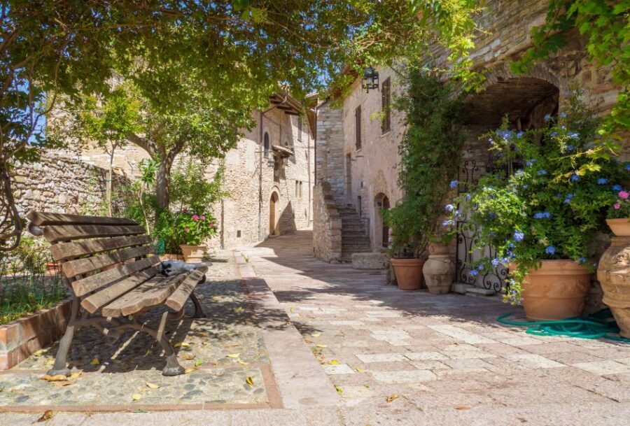 Cortona: 3-Hour Private Walking Tour - Panoramas Without the Hike: When the Views Feel Earned