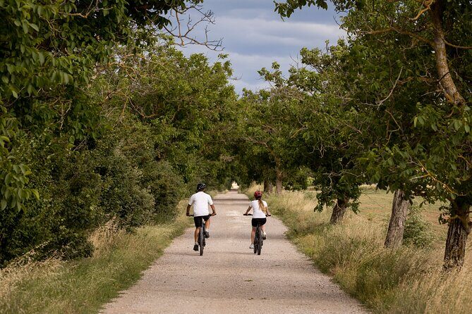 Cortona - eBike tour and wine tasting in the Val di Chiana [+40€] - Guides, small-group support, and why it changes the experience