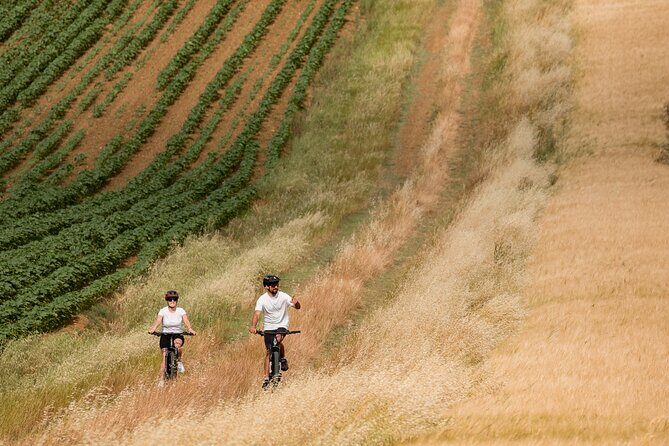 Cortona - eBike tour and wine tasting in the Val di Chiana [+40€] - Weather, timing, and comfort checklist for a smoother day
