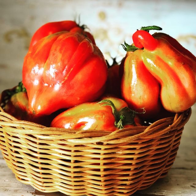 Cortona: Pasta and Pizza Cooking Class - Key things that make this class worth your time