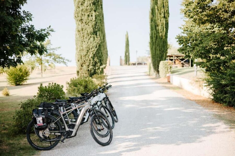 Cortona: Val di Chiana E-Bike Tour with Optional Wine Lunch - Barbarullo meeting point: where you’ll start and why the pin can vary