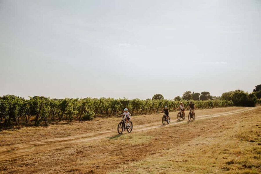 Cortona: Val di Chiana E-Bike Tour with Optional Wine Lunch - The Val di Chiana ride: wheat, vineyards, and quiet gravel roads