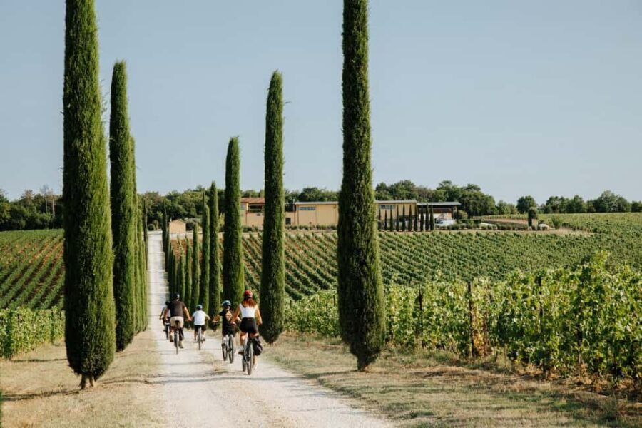 Cortona: Val di Chiana E-Bike Tour with Optional Wine Lunch - Price and value: $186, plus an optional €40 meal