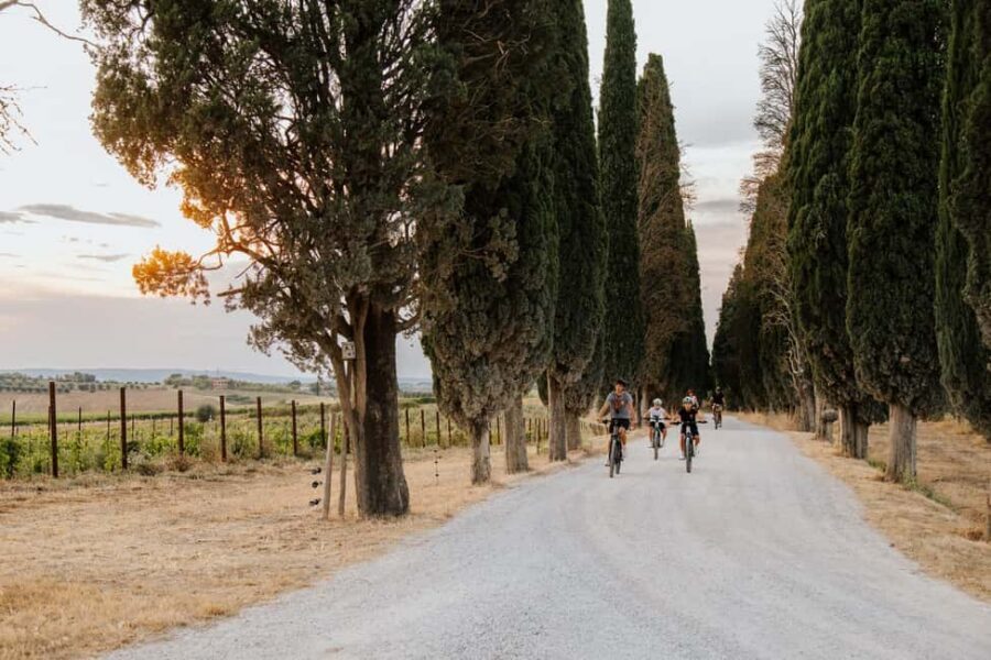 Cortona: Val di Chiana E-Bike Tour with Optional Wine Lunch - Who should book this tour (and who should skip it)