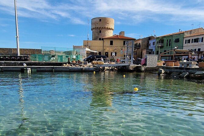 Daily excursions and guaranteed fun in Argentario - Porto Ercole coast and the red island stop: half-day flexibility that still feels scenic