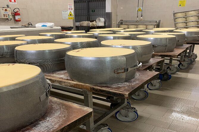 Day Tour Parmigiano, Ferrari Museum, Balsamic, Lambrusco, Lunch with Transfer - From Bologna to Maranello: The Day’s Rhythm and Real-World Logistics