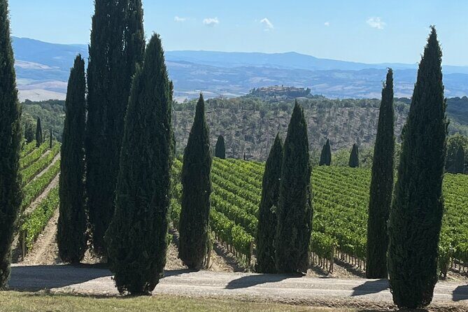 Discover Brunello Wines with DiWine Experience - Key things I’d clock before you go