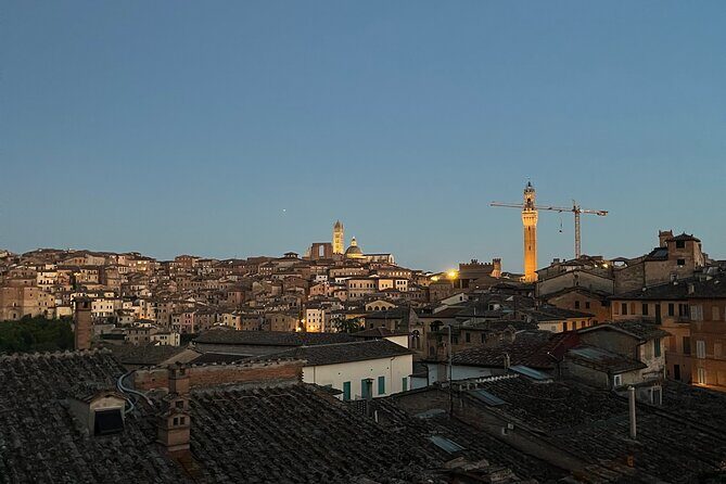 Discover Brunello Wines with DiWine Experience - Who This Brunello Day Fits Best (And Who Might Want Another Option)