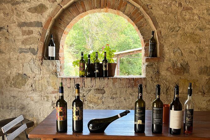Discover Chianti Classico Wines DiWine Experience - Starting in Siena: Piazza S. Domenico at 9:30 AM