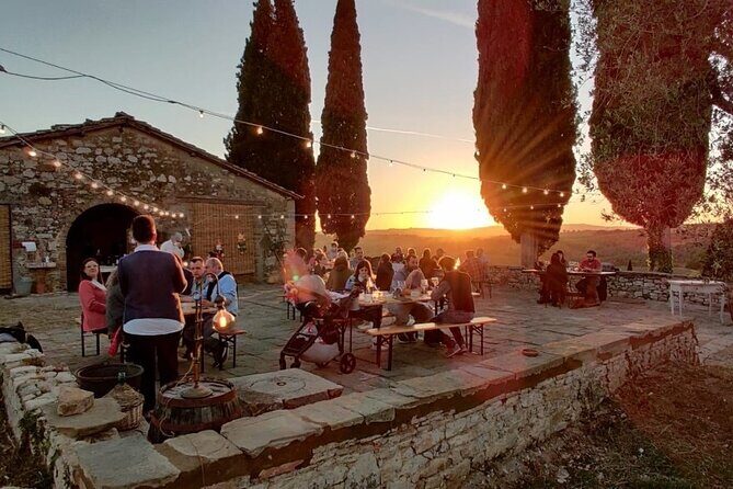 Discover Chianti Classico Wines DiWine Experience - Three Winery Stops: More Than One Pour