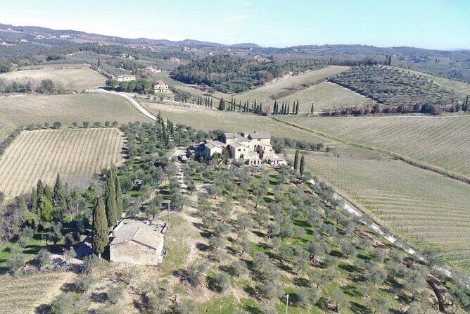 Discover Chianti Classico Wines DiWine Experience - Price and Value: What $294.37 Really Buys