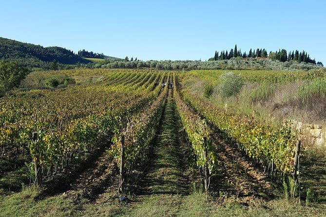 Discover Chianti Through its Wines - Inside the winery: fermentation and oak aging explained in plain terms