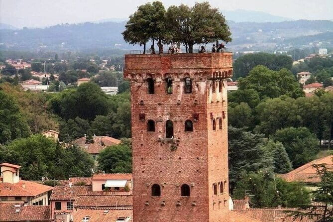Discover Lucca and Pisa and Enjoy Buccellato Cake: Full Day Tour - Free Time in Pisa: Photos, Cappuccino, and Easy Souvenir Stops