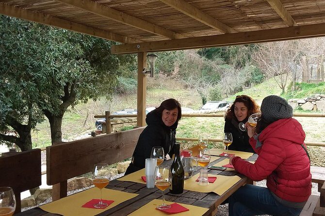 Discover Montalcino through its best productions: Brunello & Saffron!! - Saffron stop in Montalcino’s orbit: honey, cream, and saffron beer