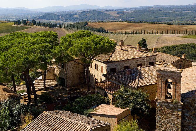 Discover Montalcino through its best productions: Brunello & Saffron!! - Inside the cellar: tasting Rosso di Montalcino and Brunello di Montalcino