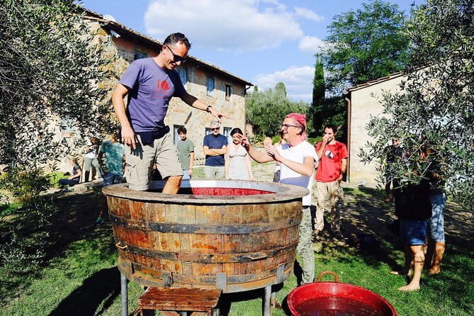 Discover Organic and Biodynamic Chianti Small Wineries - Key things that make this Chianti tour worth your time