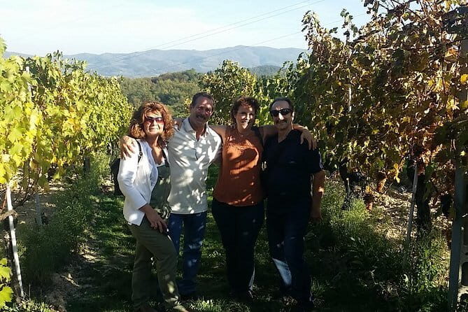 Discover Organic and Biodynamic Chianti Small Wineries - From Piazza Torquato Tasso to the Chianti hills: how the day works