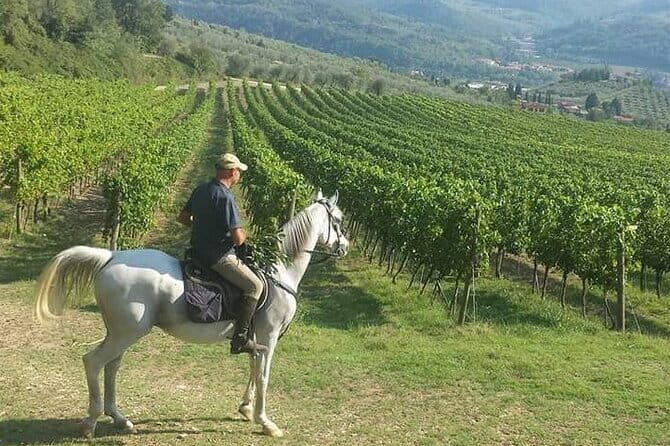 E-bike 2.5 hour Florence & Tuscany With Fresh Olive Oil and Bread - The Ride Experience: What It Feels Like to “Do Hills” on an E-Bike