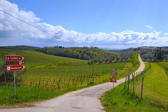 E-Bike Tour: Explore the Chianti, its Enogastronomy and Castles - Chianti Gravel Roads: Cypresses, Castles, and the Eroica Feel