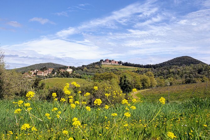 E-Bike Tour: Explore the Chianti, its Enogastronomy and Castles - Castello di Brolio: The Part of the Day You’ll Remember