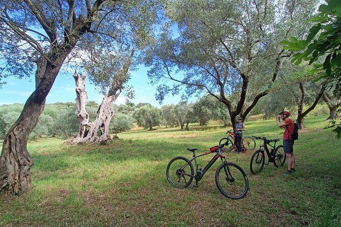 E-Bike Tour fortresses and mountains near the Free Baths of Saturnia - Stop 3: Rocca Aldobrandesca di Rocchette di Fazio and the Honey Break