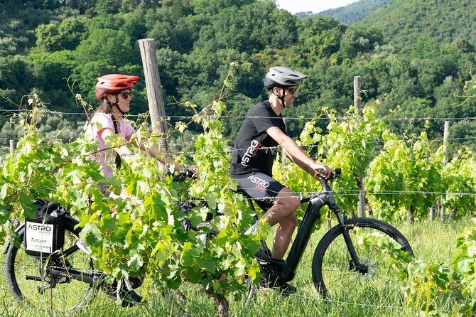E-bike tour with tasting in the hills of Lucca - Key highlights you’ll care about