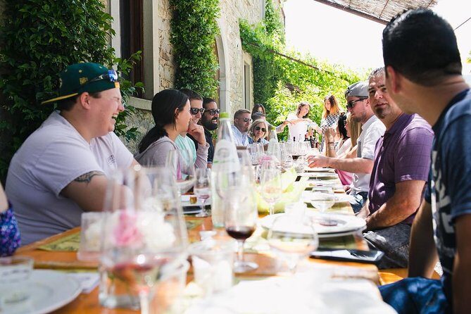 Educational Olive Oil Tasting - Buccelletti–Cantina Olive Oil Country Near Arezzo