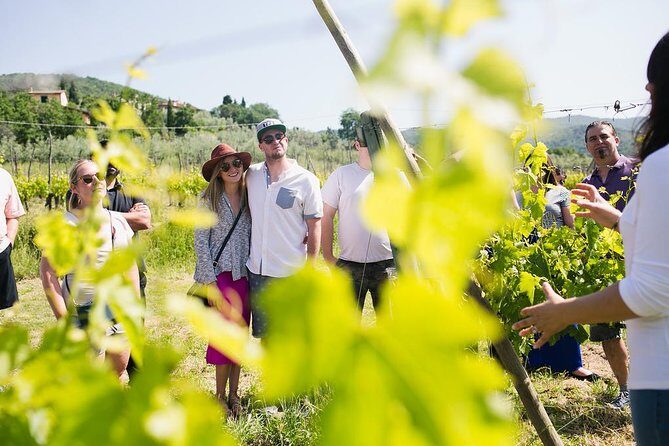 Educational Olive Oil Tasting - Bread, Bottled Water, and Wine: Keeping It Tuscan and Unrushed
