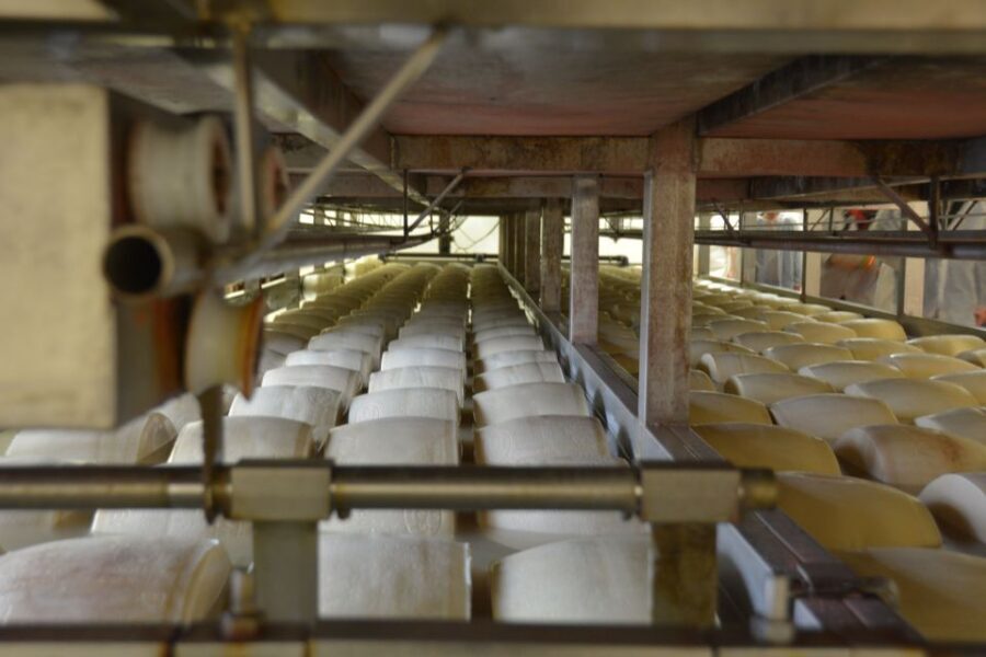 Emila-Romagna: Parmigiano, Prosciutto, Wine & Balsamic Tour - Who This Tour Is For (and Who Might Want a Different Style)