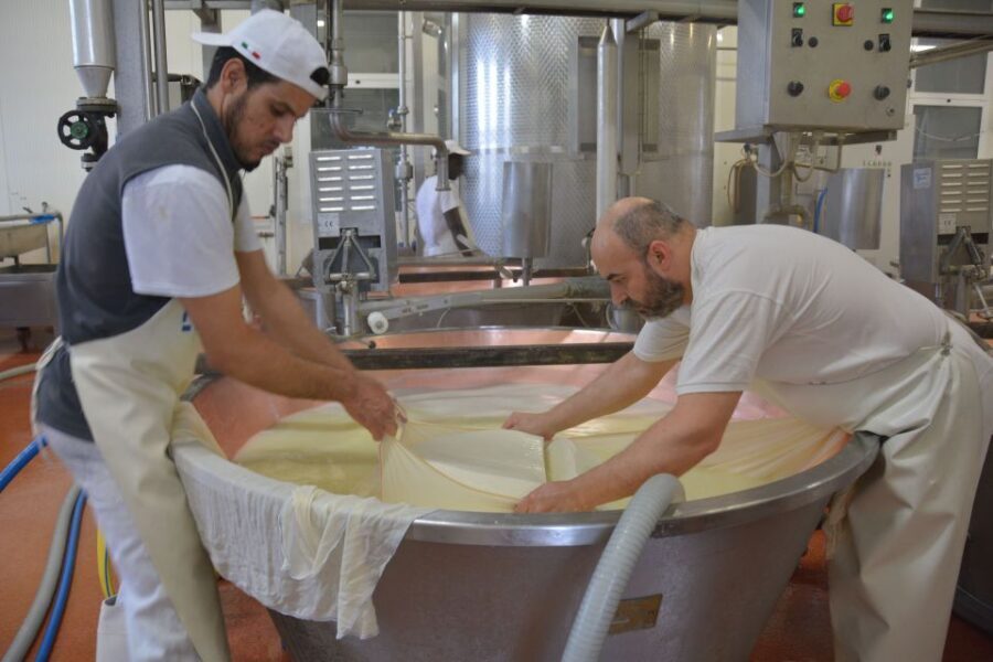 Emila-Romagna: Parmigiano, Prosciutto, Wine & Balsamic Tour - What’s Included (and Why That Matters at $498)