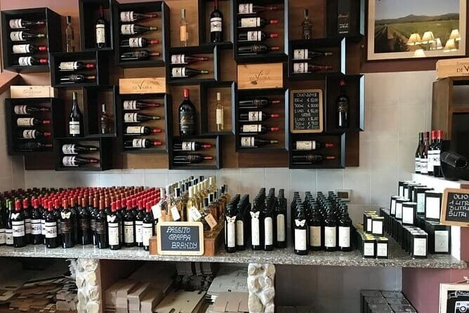 Exclusive Bolgheri from Florence: The Land of the Super Tuscan - What You Actually Get for the Price ($667.37 per Person)