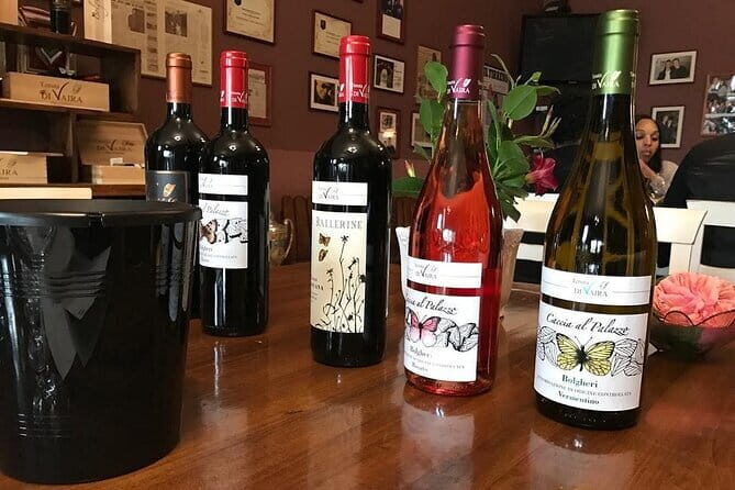 Exclusive Bolgheri from Florence: The Land of the Super Tuscan - Castello di Castagneto Carducci: Another Estate, Another Angle