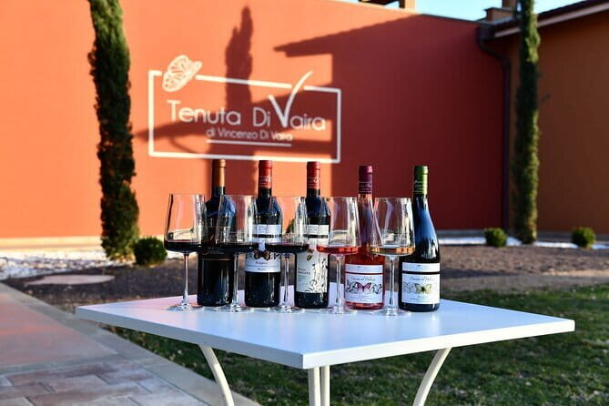 Exclusive Bolgheri from Florence: The Land of the Super Tuscan - Pickup at 8:30am: The Part That Makes or Breaks the Day