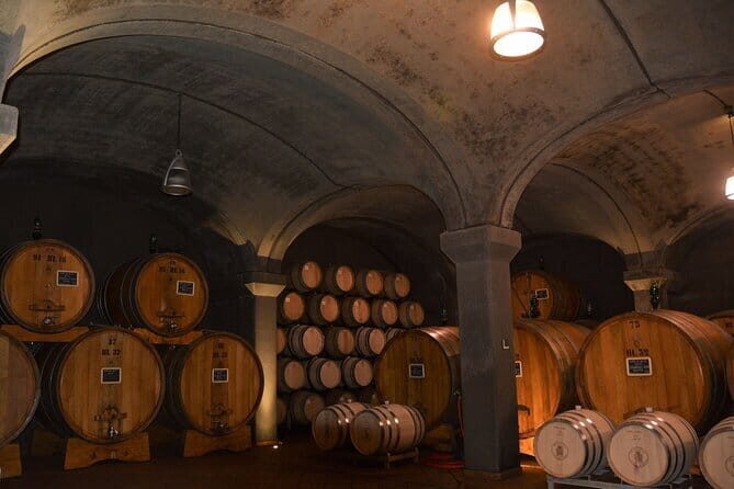 Exclusive Brunello di Montalcino tour from Florence - Price and Logistics: what $611.72 buys you (and what it doesn’t)