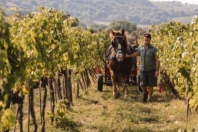 Exclusive Brunello di Montalcino tour from Florence - Stop 1: the first winery break before you reach Montalcino