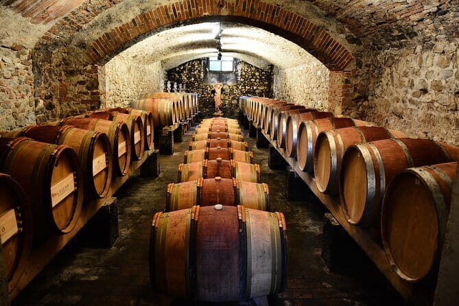 Exclusive Chianti Classico Day Trip from Florence - Key things that make this Chianti Classico day work