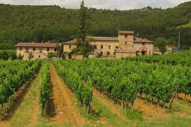 Exclusive Chianti Classico Day Trip from Florence - Luiano in San Casciano in Val di Pesa: centuries of wine plus Renaissance cellars