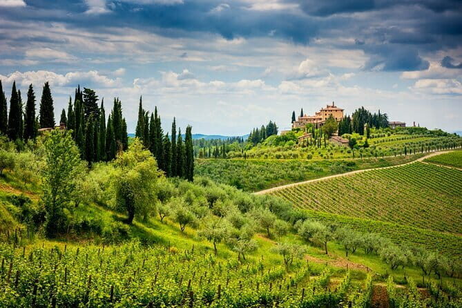 Exclusive Chianti Classico Day Trip from Florence - 3-course Tuscan lunch plus pairing tips you can use immediately