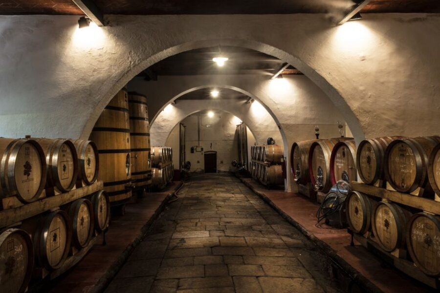 Exclusive Chianti Rufina Half-Day with lunch from Florence - 5 Things That Make This Chianti Rufina Half-Day Worth Your Time