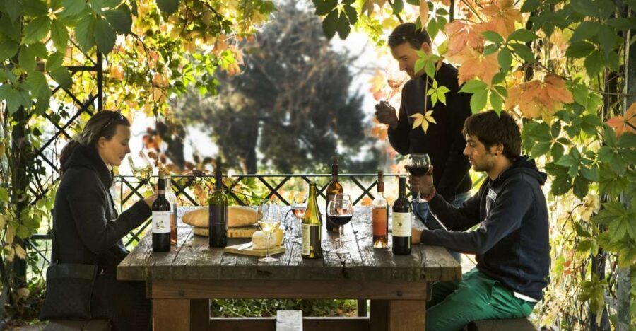 Exclusive Chianti Rufina Half-Day with lunch from Florence - Chianti Rufina’s high-altitude wines (and what you’ll notice fast)